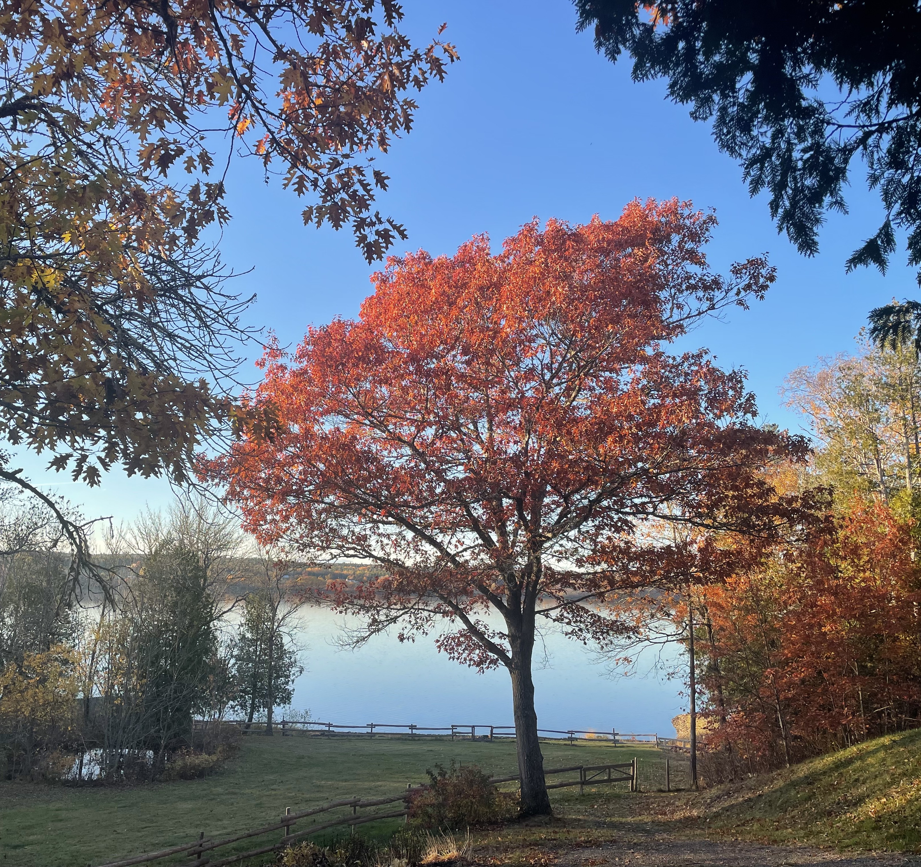 Fall view of the waterfront on this New Brunswick, Canada property