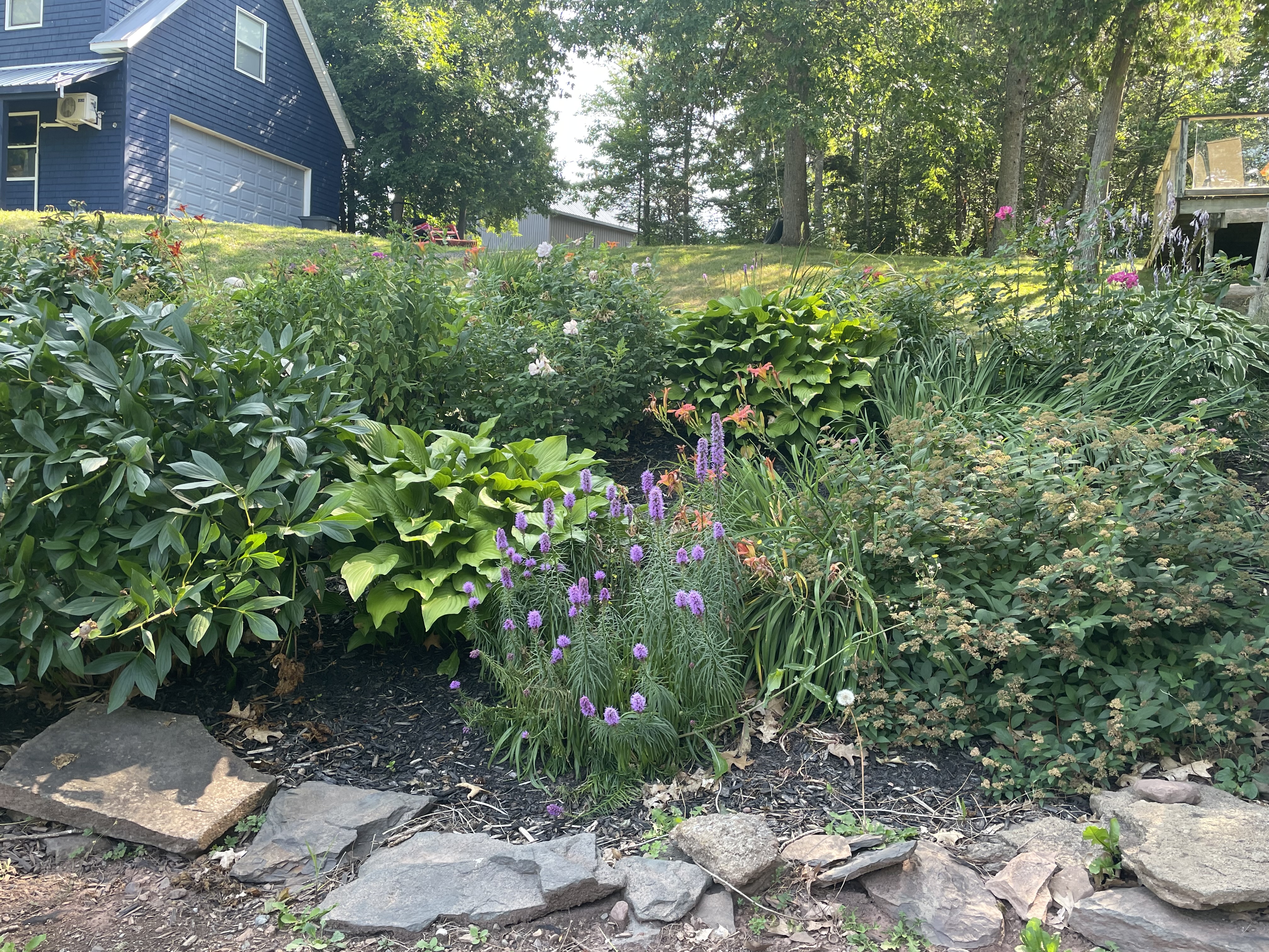 Perennial gardening New Brunswick Canada