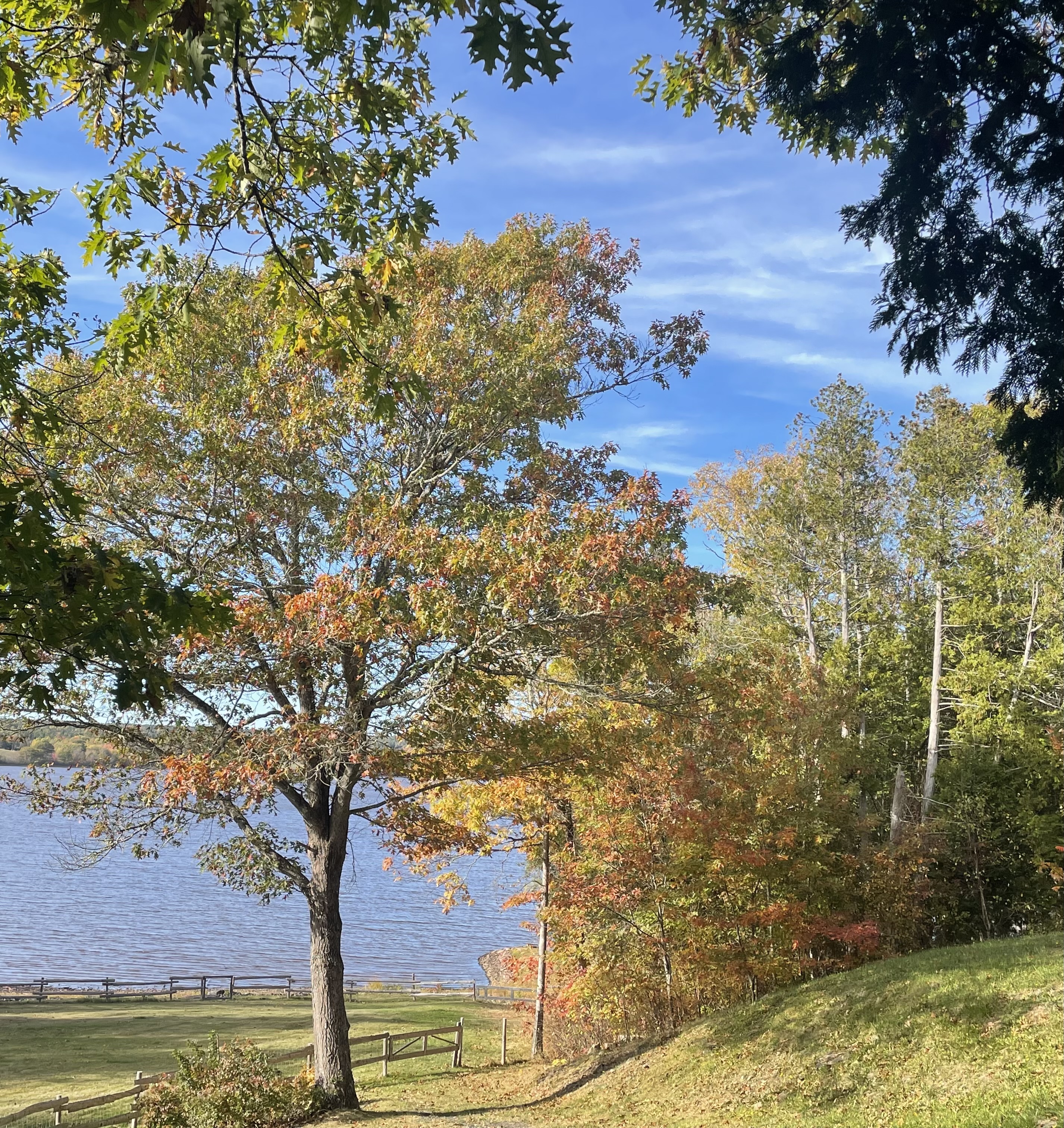 Fall on waterfront property on Washademoak Lake, New Brunswick, Canada