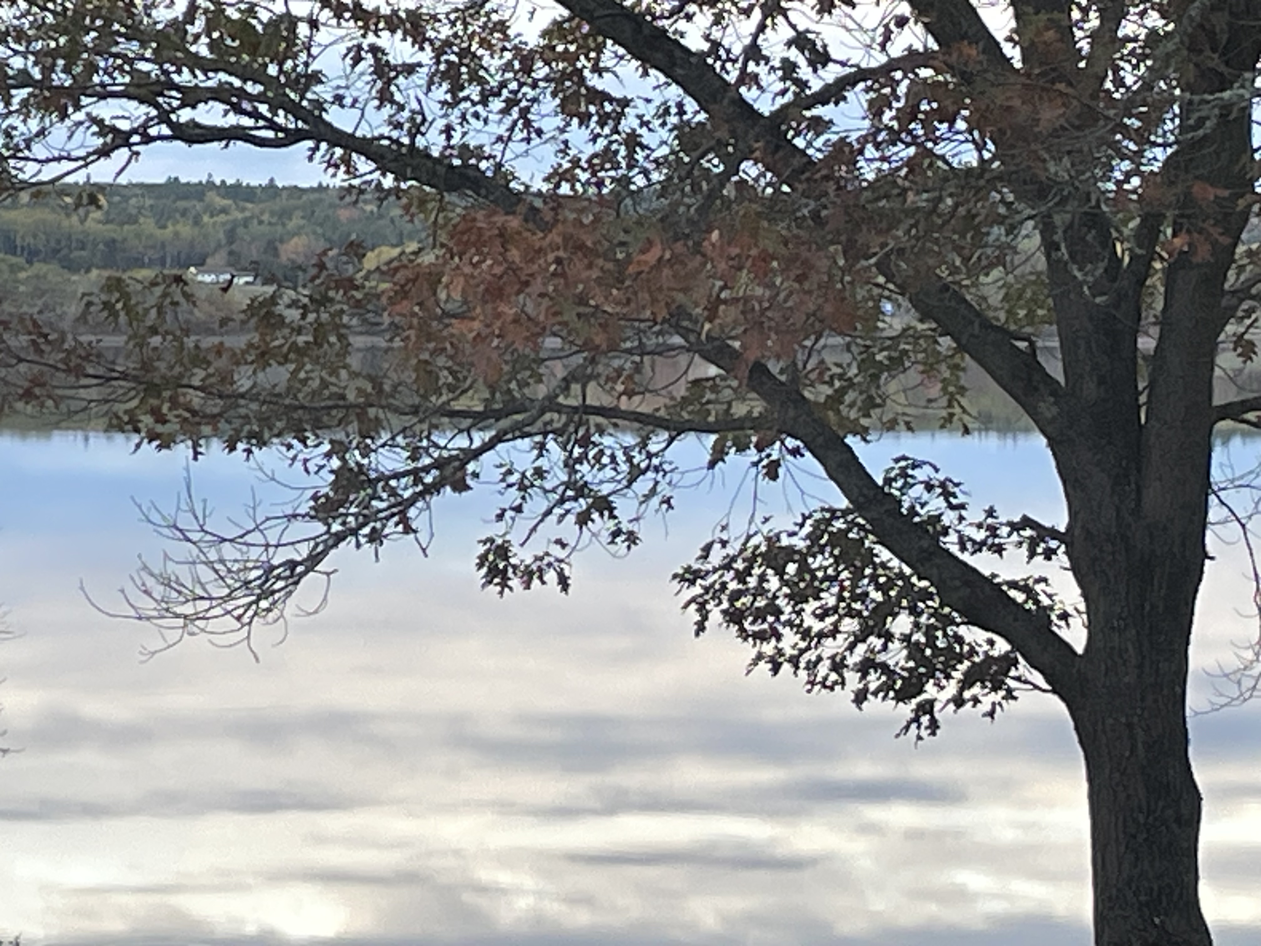 East coast waterfront, Washademoak Lake, New Brunswick, Canada