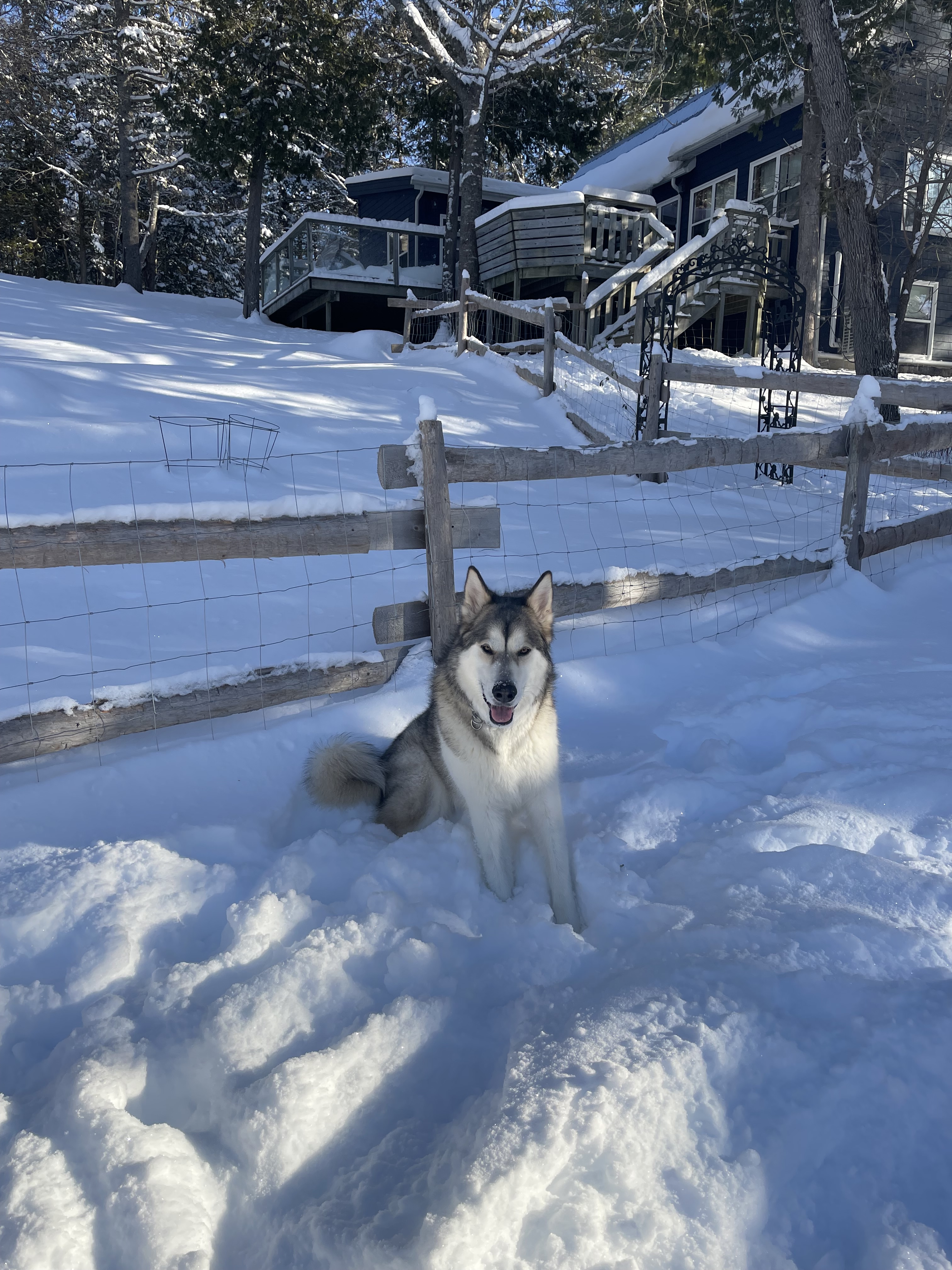 Winter in New Brunswick Canada
